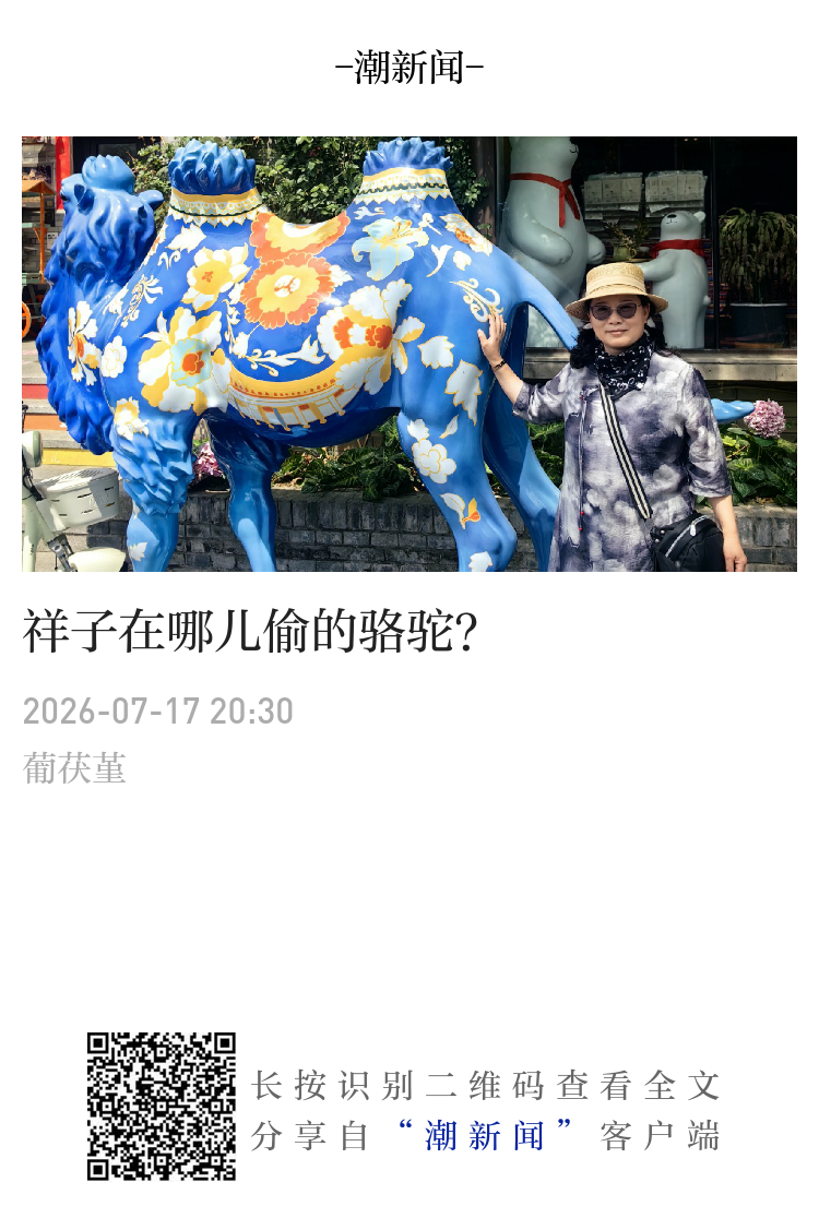 祥子在哪儿偷的骆驼？